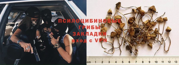 трава Магадан